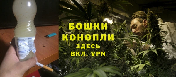 ПСИЛОЦИБИНОВЫЕ ГРИБЫ Инсар